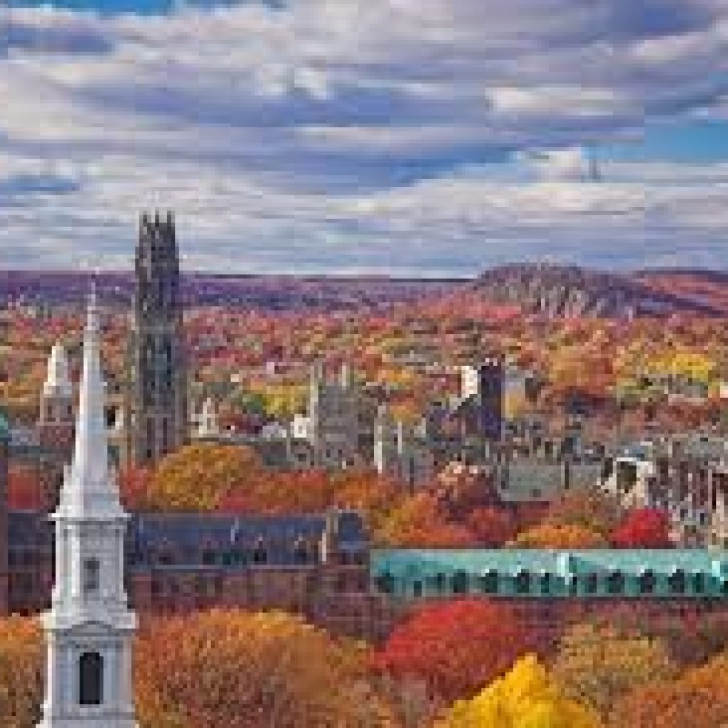 new haven